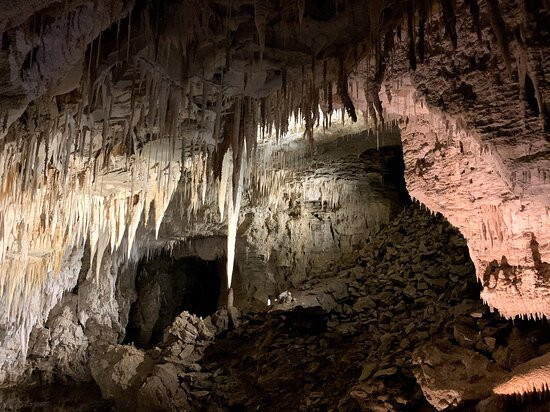 萤火虫汽车旅馆主图