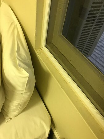 O'Shea's Royal Hotel主图