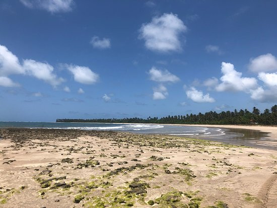 Bainema-Ilha de Boipeba必去景点