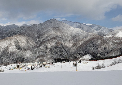 Honokidaira滑雪场-高山市必去景点