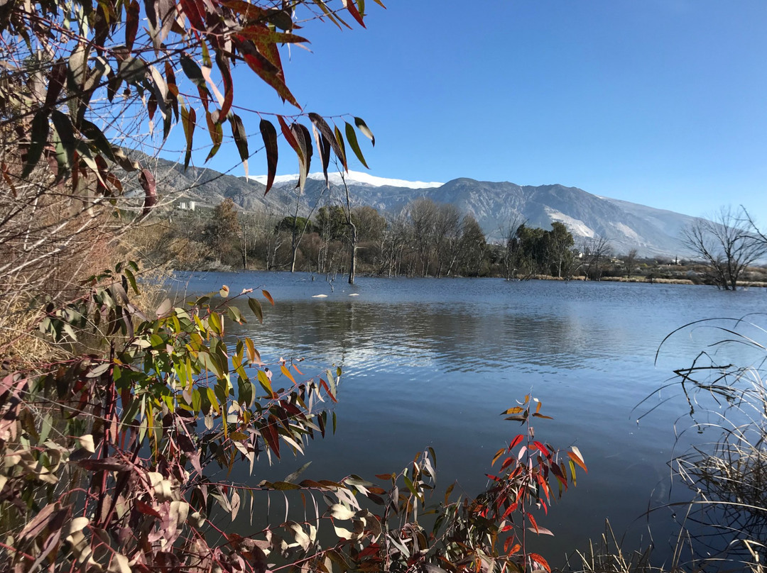 La laguna del Padul景点图片