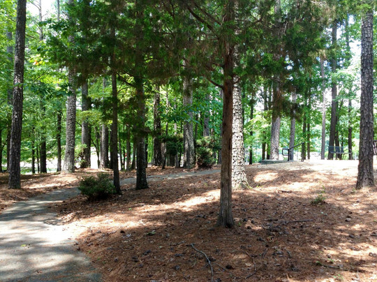 Dunwoody旅游攻略图片