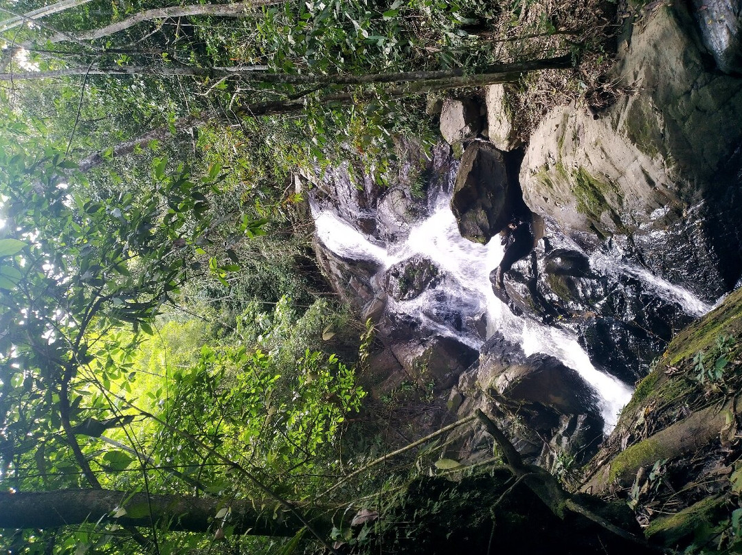 Reserva Natural Ciudad Perdida De Fálan景点图片