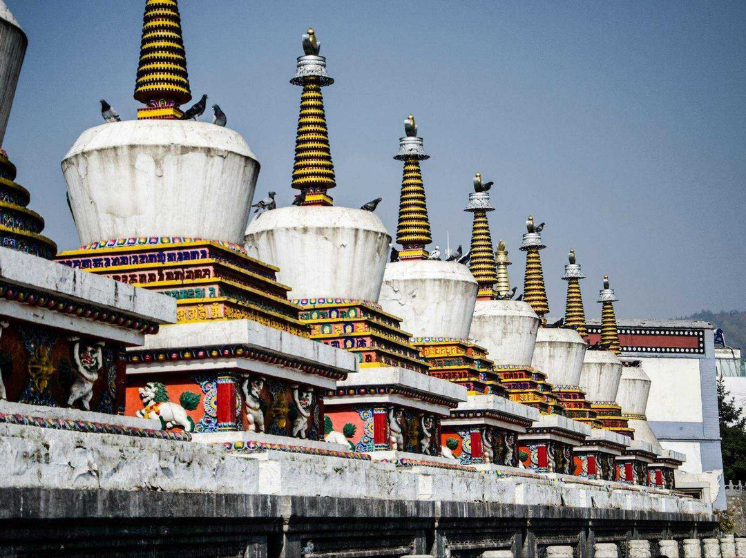 Discover China Trips景点图片