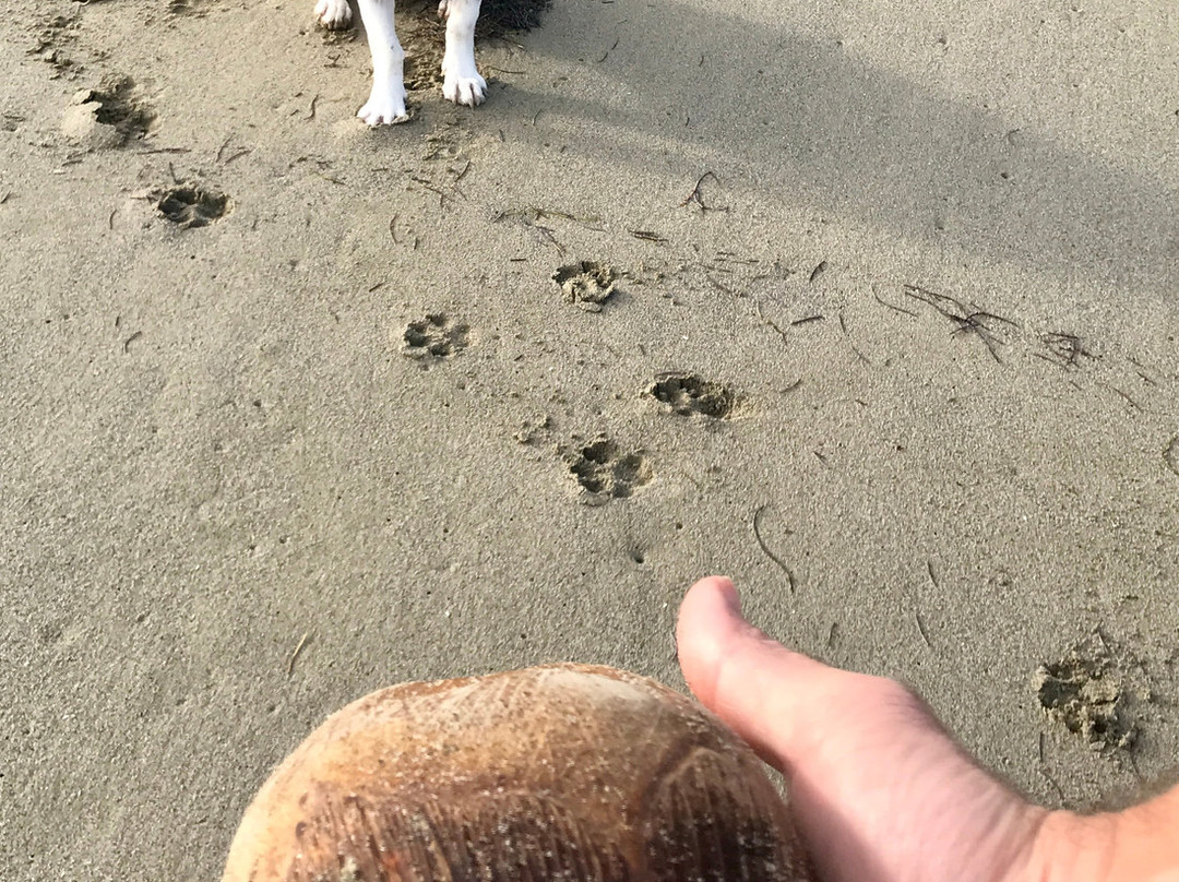 Las Canas旅游攻略图片