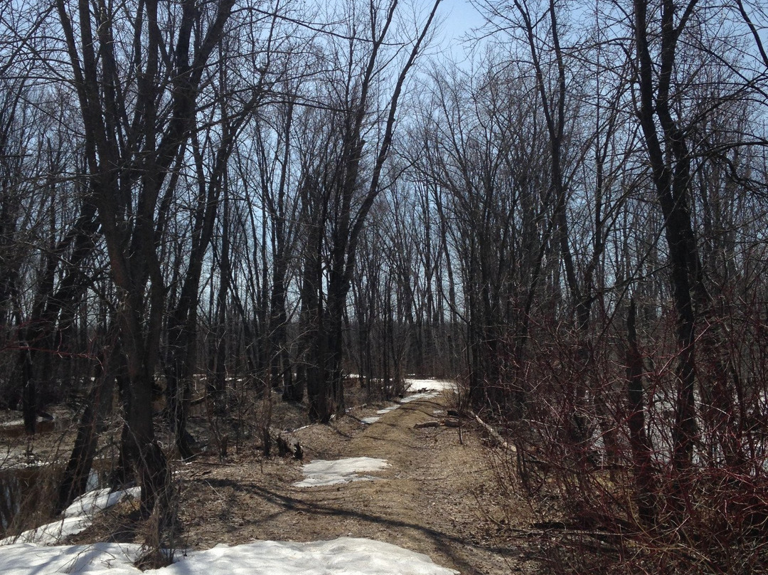 Fort Coulonge旅游景点-Westmeath Provincial Park