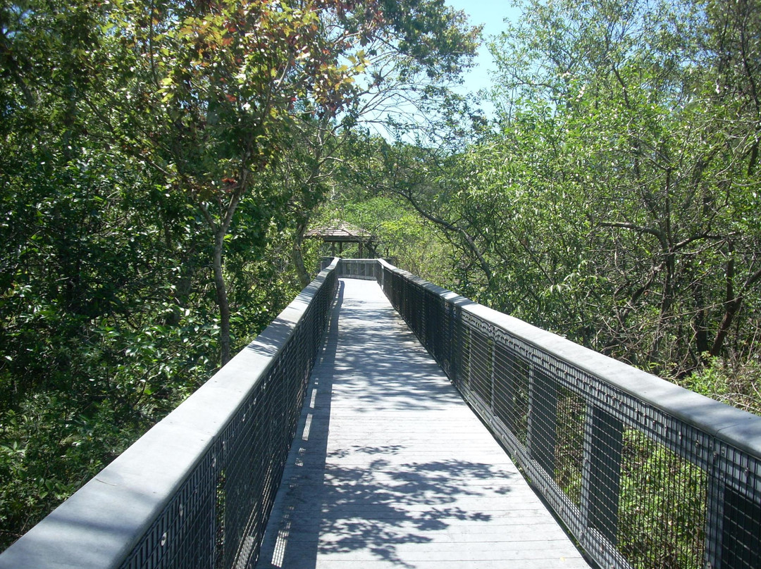 科勒尔斯普林斯旅游景点-Tall Cypress Natural Area