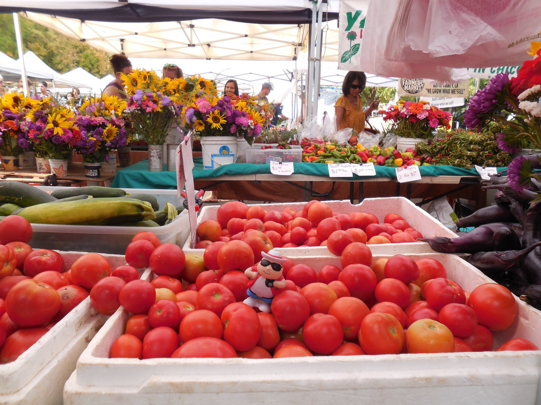 Chico Certified Farmer's Market