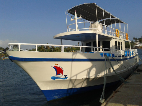 Whales Watching Sri Lanka-美蕊沙必去景点