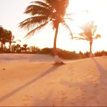 MX TRAVEL EXPERIENCE