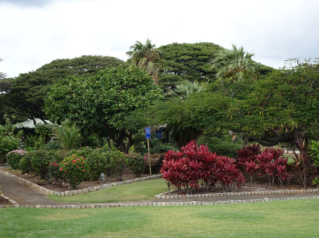 Queen Kapiolani Garden景点图片