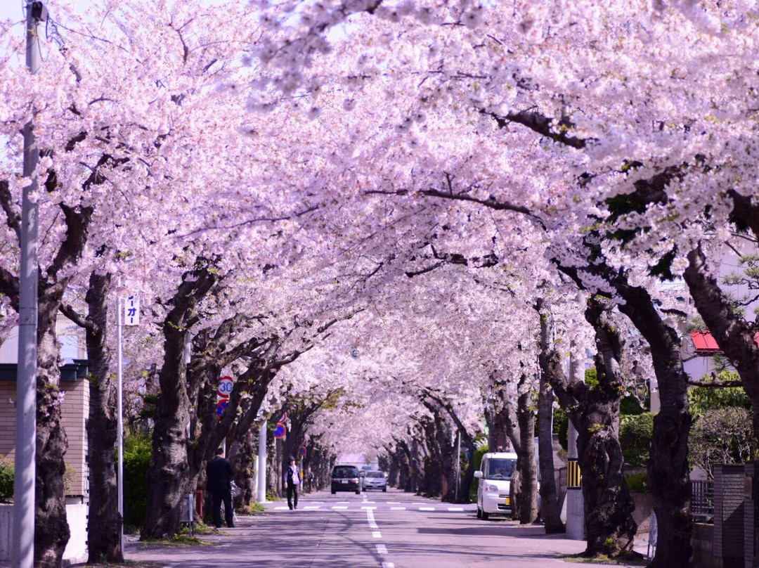 Sakuragaoka St.景点图片