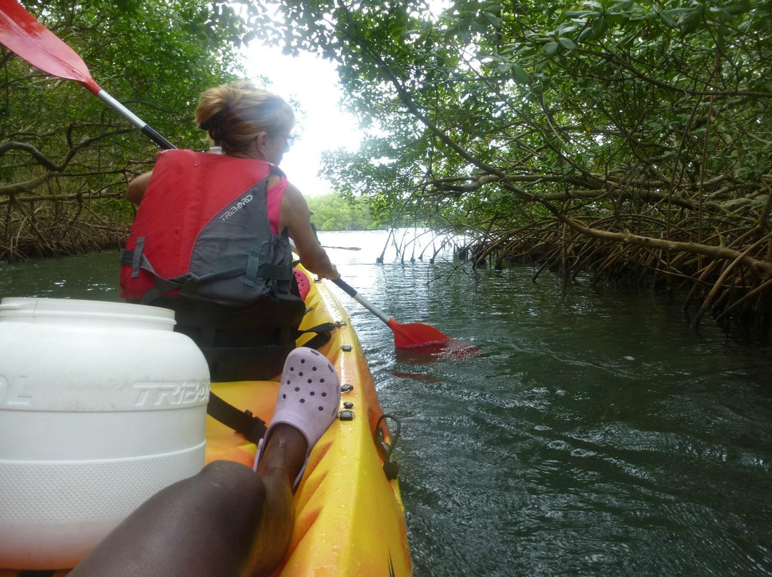 Yalodé Kayak Canyon Bain De Forêt