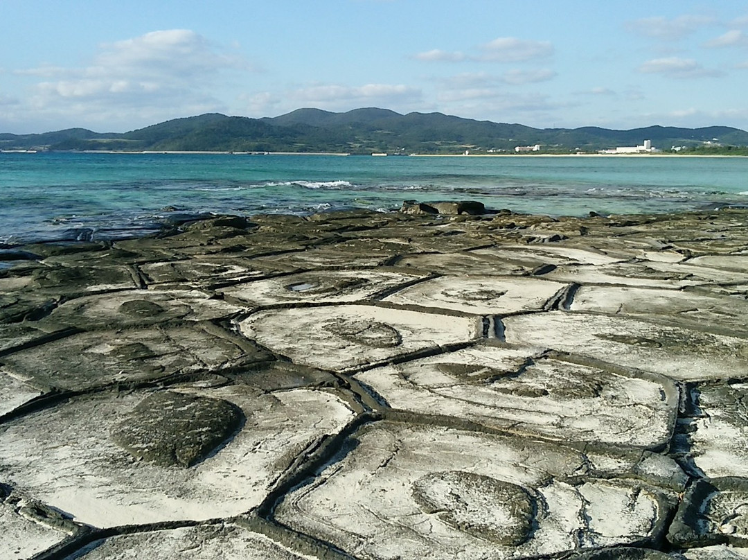 Ojima Island景点图片