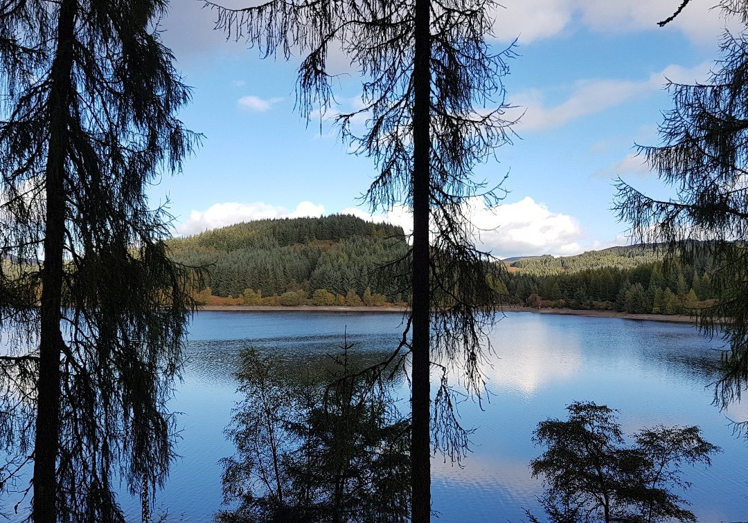 Three Lochs Forest Drive景点图片