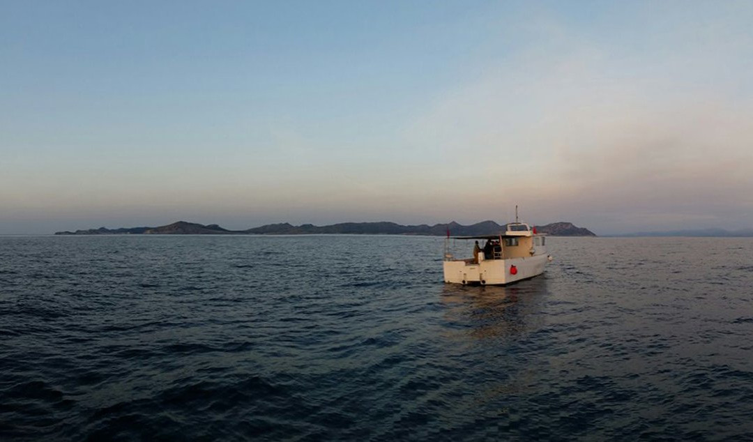 Mallorca Fishing Charter-爱博纳必去景点