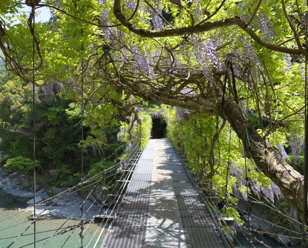 Fuji Bridge
