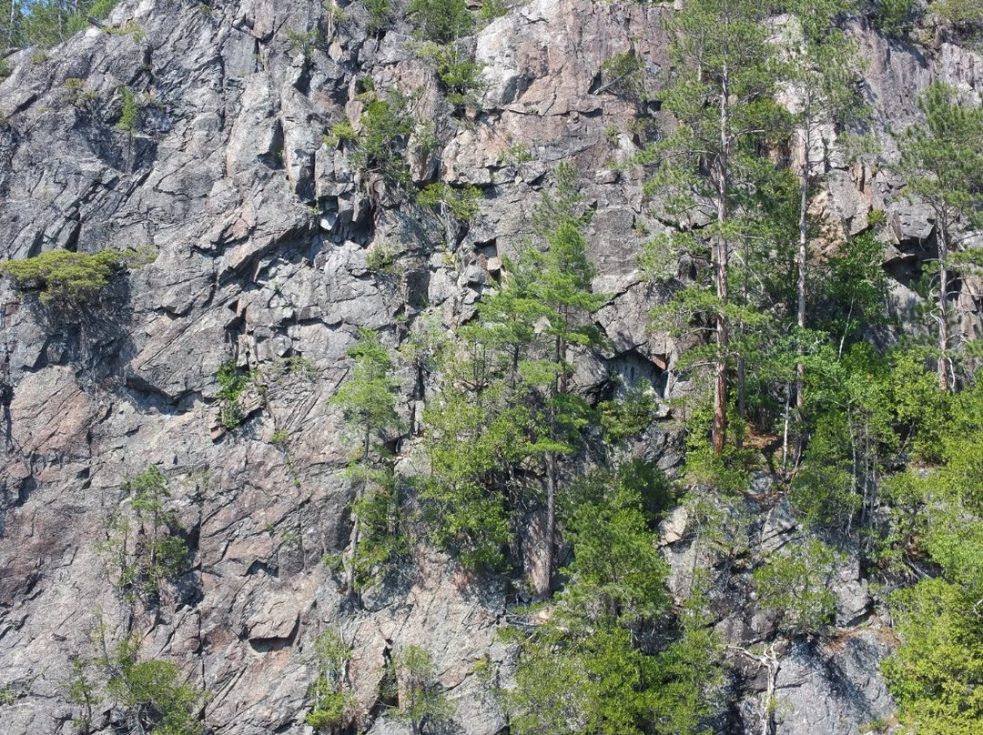 Parc national d'Opémican-Temiscaming必去景点