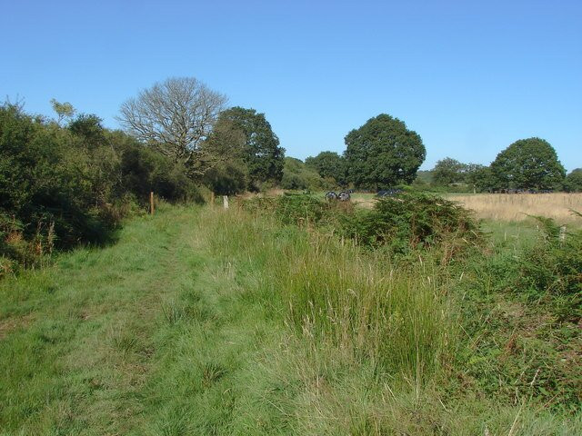 Great Mornshill Wood景点图片
