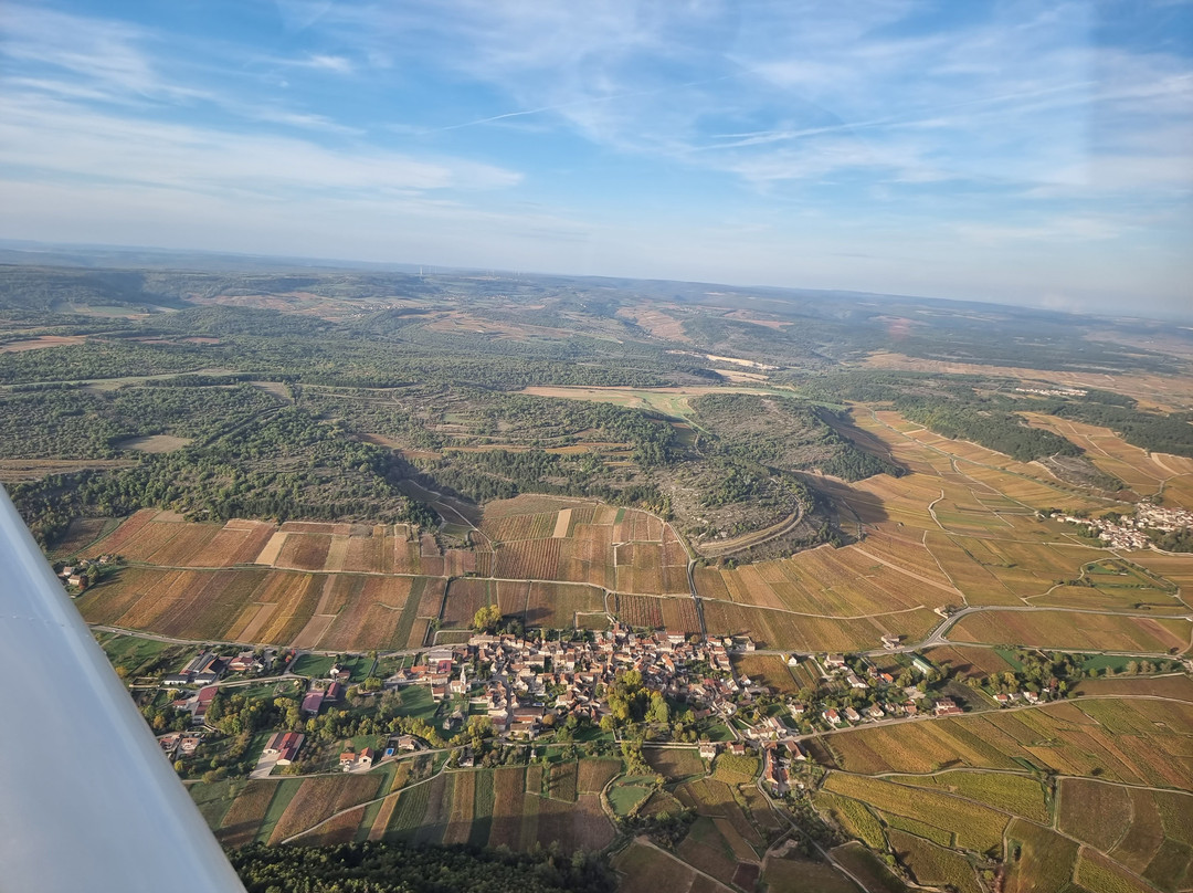Domaine Prunier-Damy景点图片