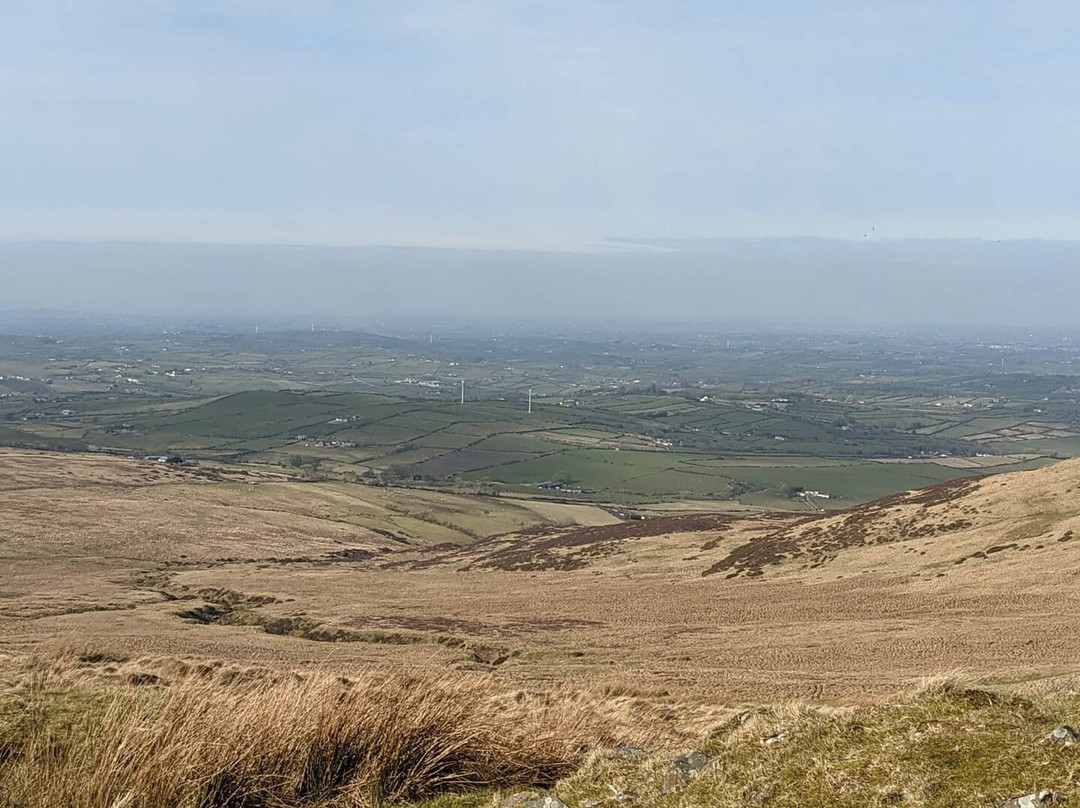 Slieve Croob景点图片