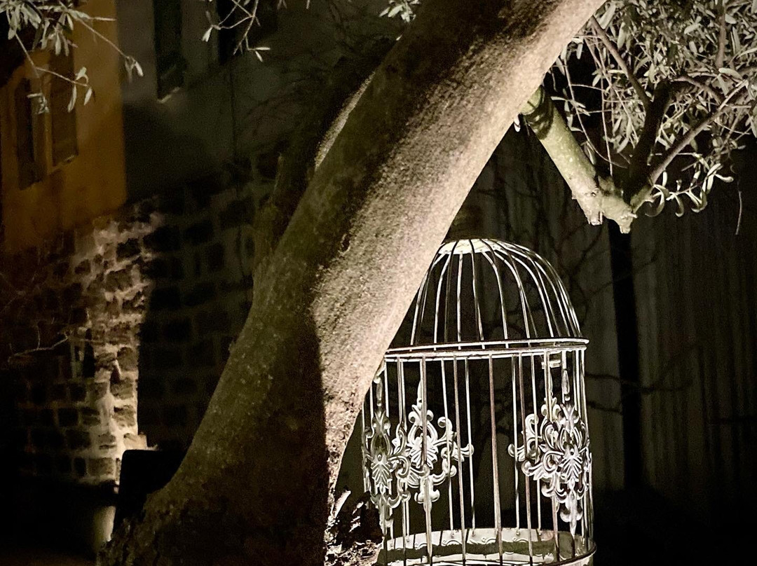 Mas à l'Improviste主图