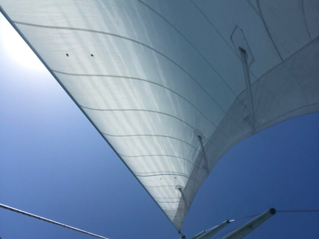 Pilgrim Magnetic Island-Nelly Bay必去景点