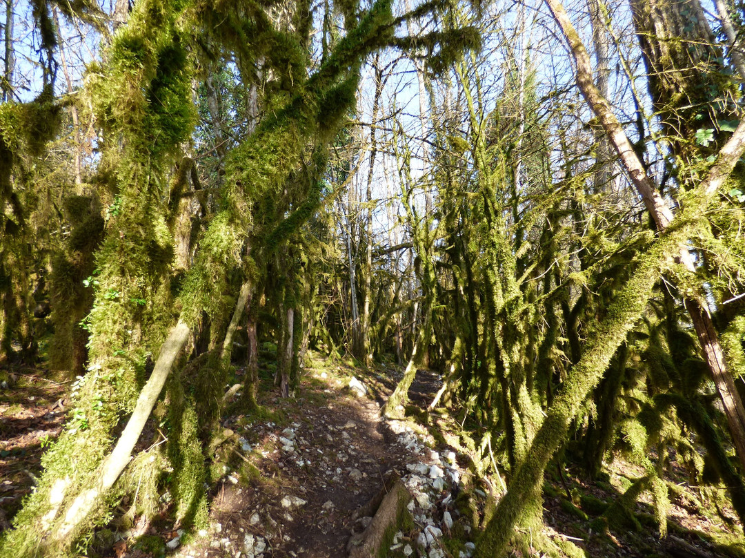 Cascade de Quinquenouille景点图片