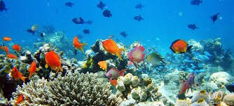 八度马尔代夫酒店主图