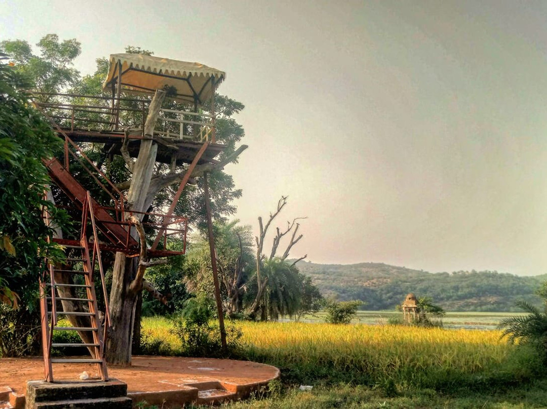 The Ummaid Bagh Resort主图