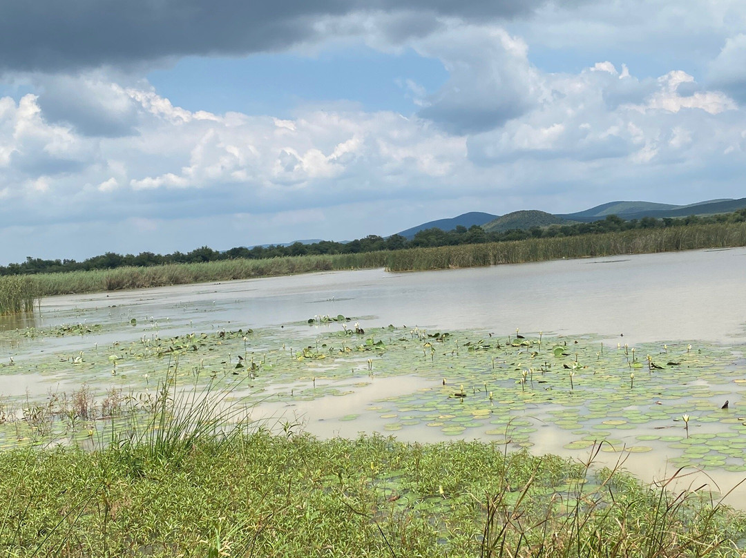 Crocodile Pools River Safaris景点图片