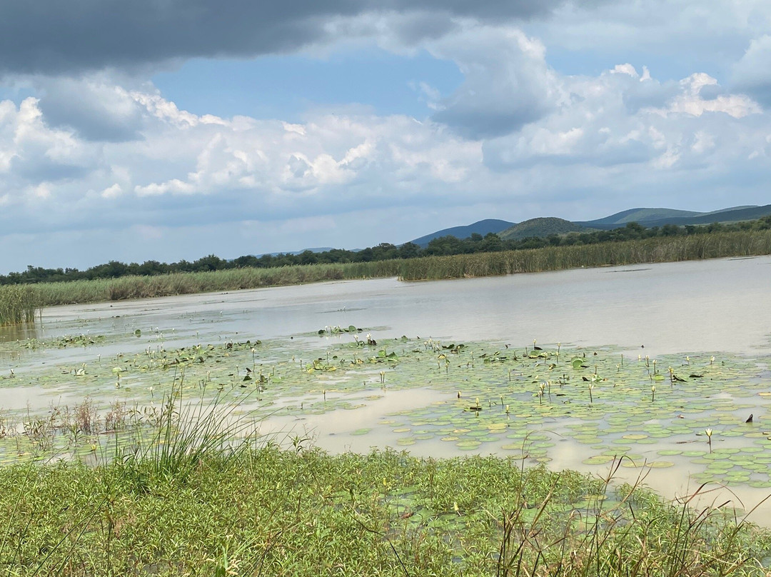 Crocodile Pools River Safaris-嘉伯隆里必去景点