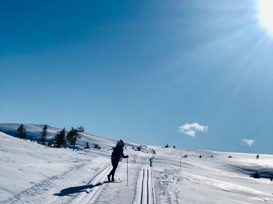 Valdres Hoyfjellshotell主图