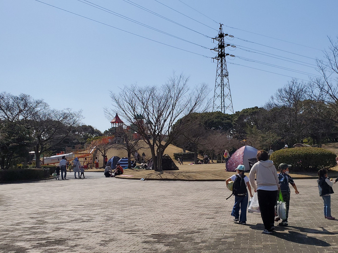 Suwa Park-大牟田市必去景点