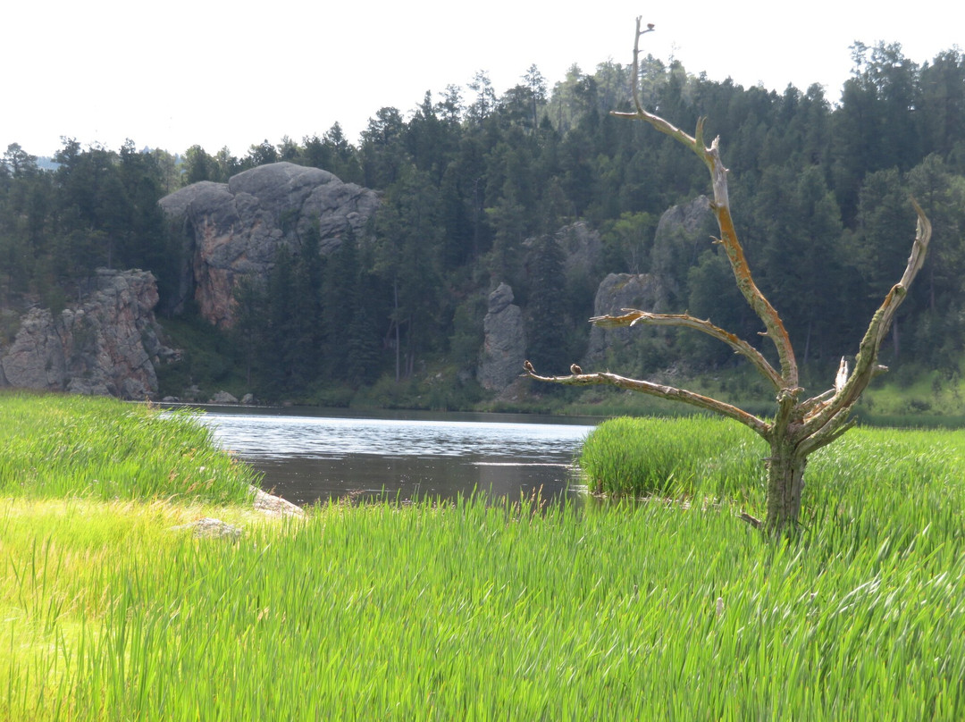 The Gordon Stockade-卡斯特必去景点