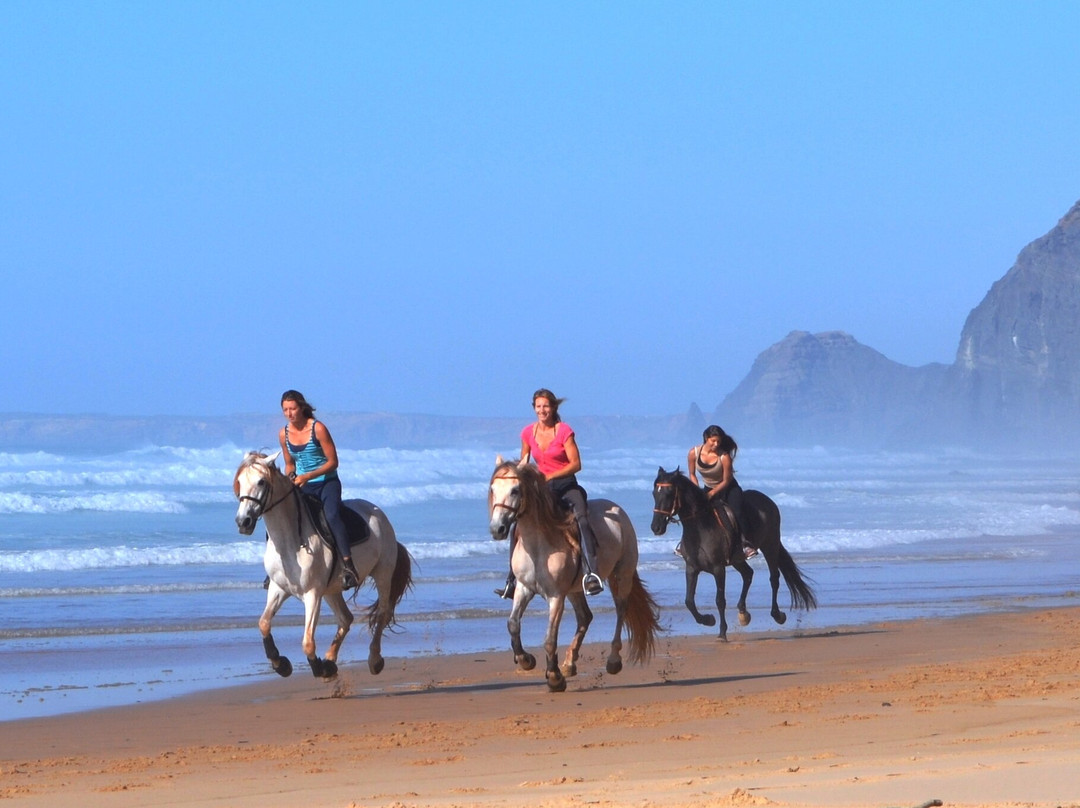 Algarve Horse Riding景点图片