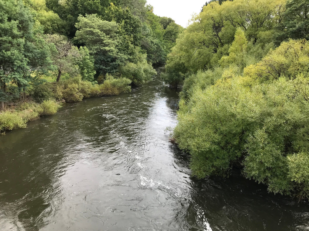 Suspension Bridge-德洛兰恩必去景点
