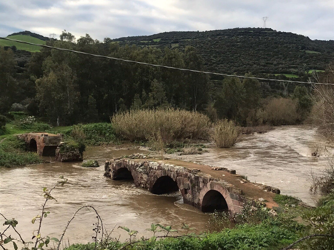 Ponte Romano ( Ponti Ecciu )景点图片