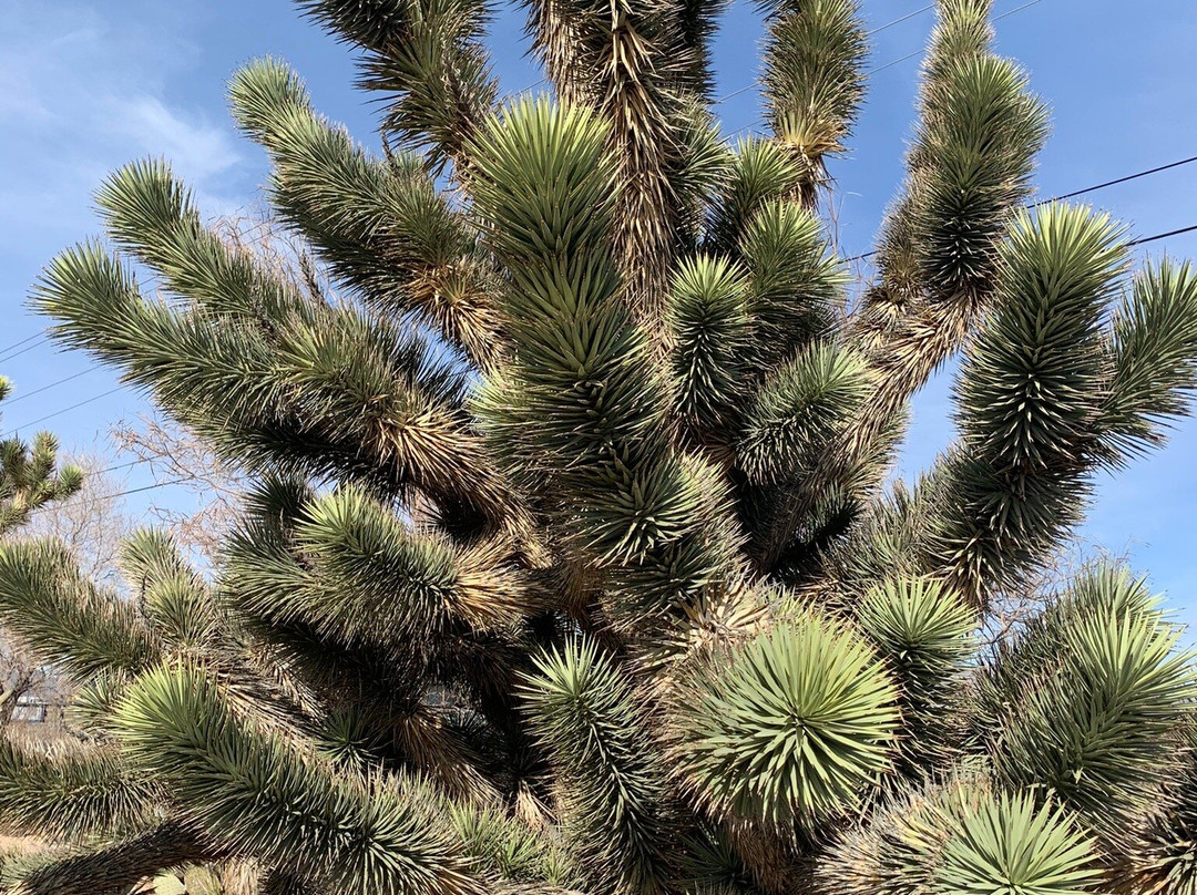 Pahrump Valley Museum-帕朗必去景点