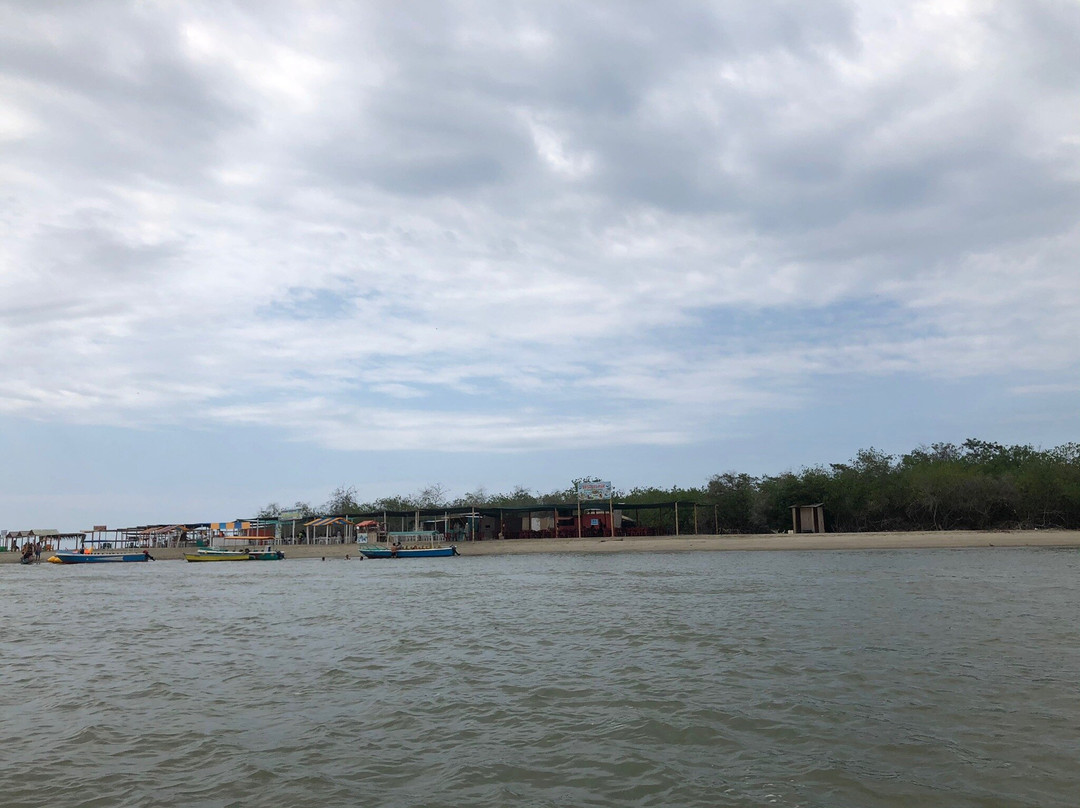 Los Manglares de Puerto Pizarro-Tumbes必去景点