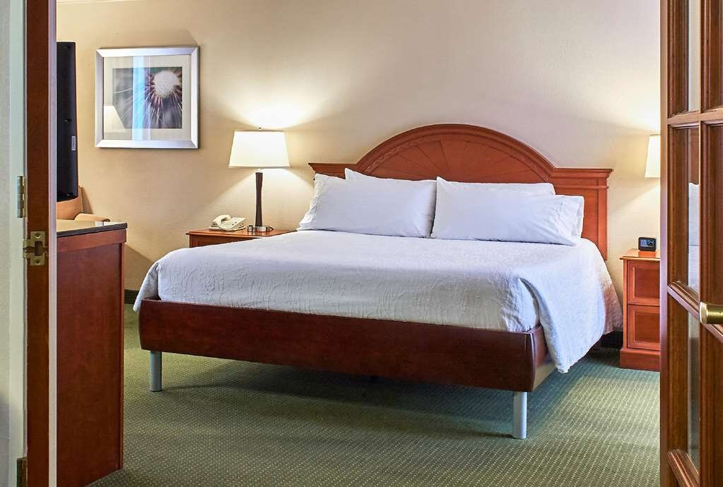 Hilton Garden Inn Atlanta Ne/gwinnett Sugarloaf主图