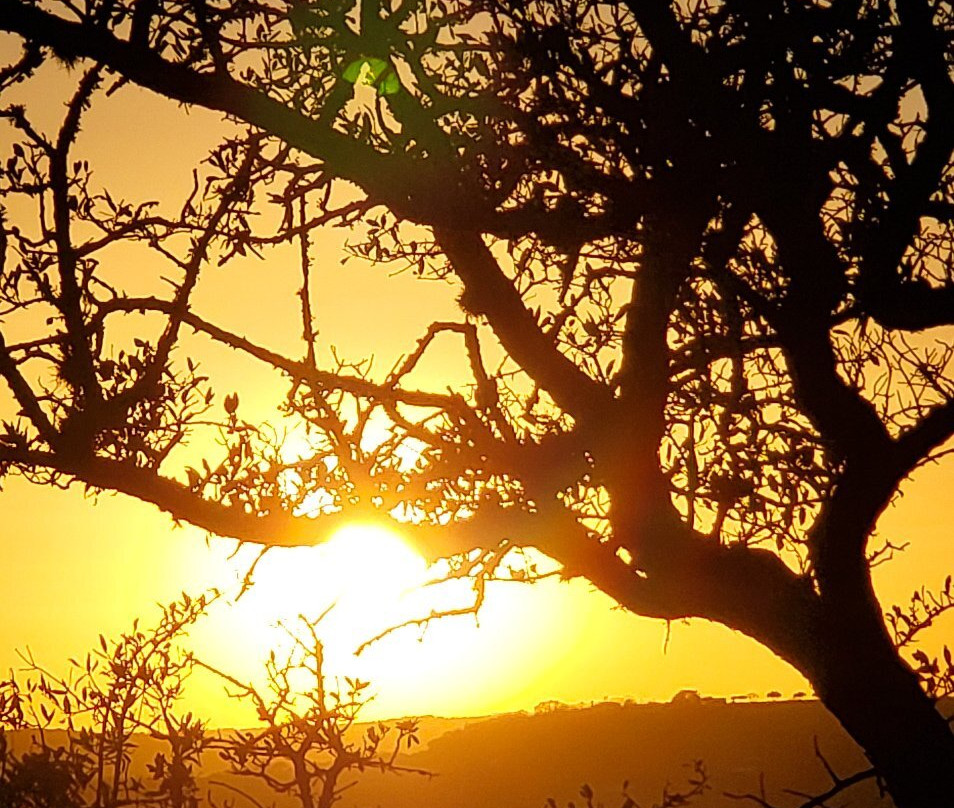 Cross Mountain Park-弗雷德里克斯堡必去景点