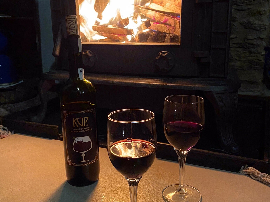 Sihirbazin Evi主图