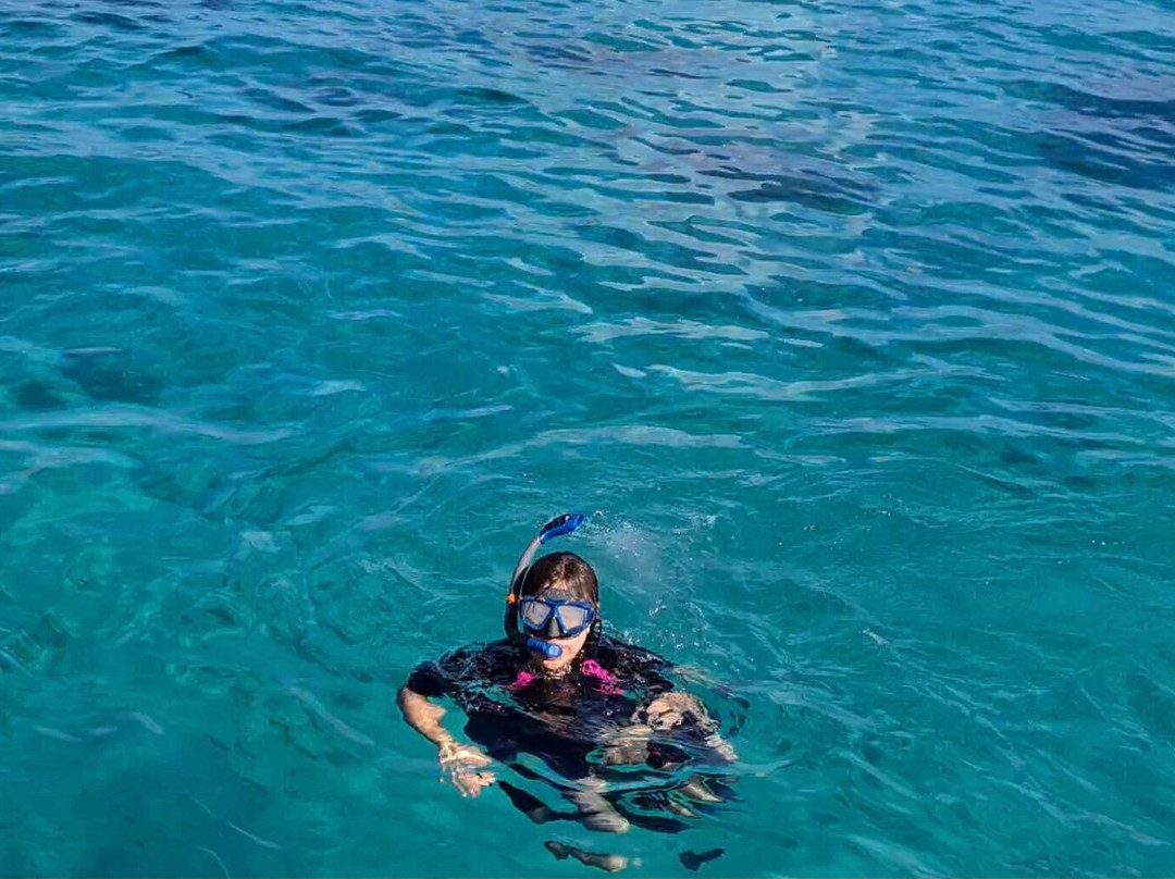 All Sea Charters-巴瑟尔顿必去景点