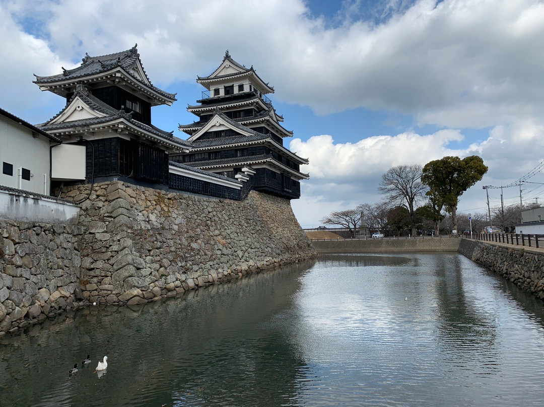 Nakatsu Castle景点图片
