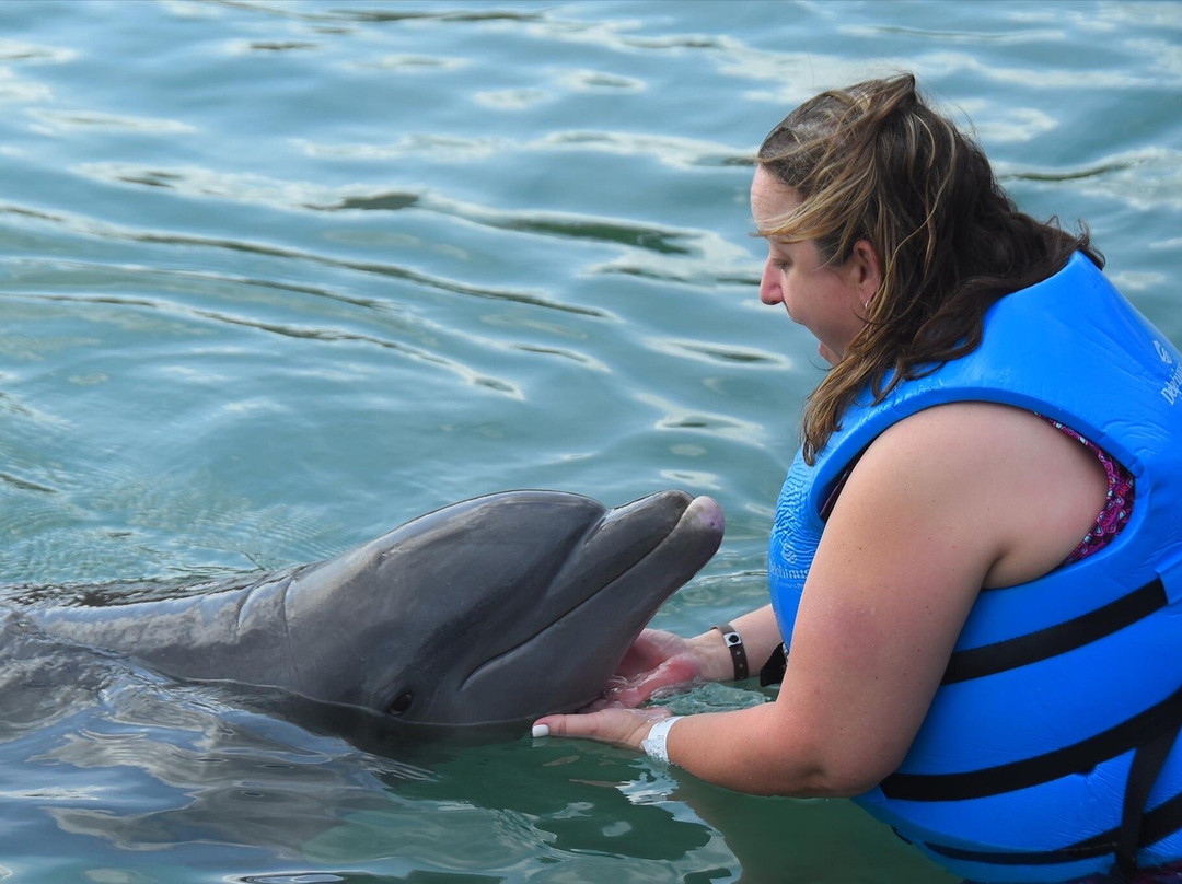 Delphinus Puerto Morelos-从莫雷洛斯港必去景点