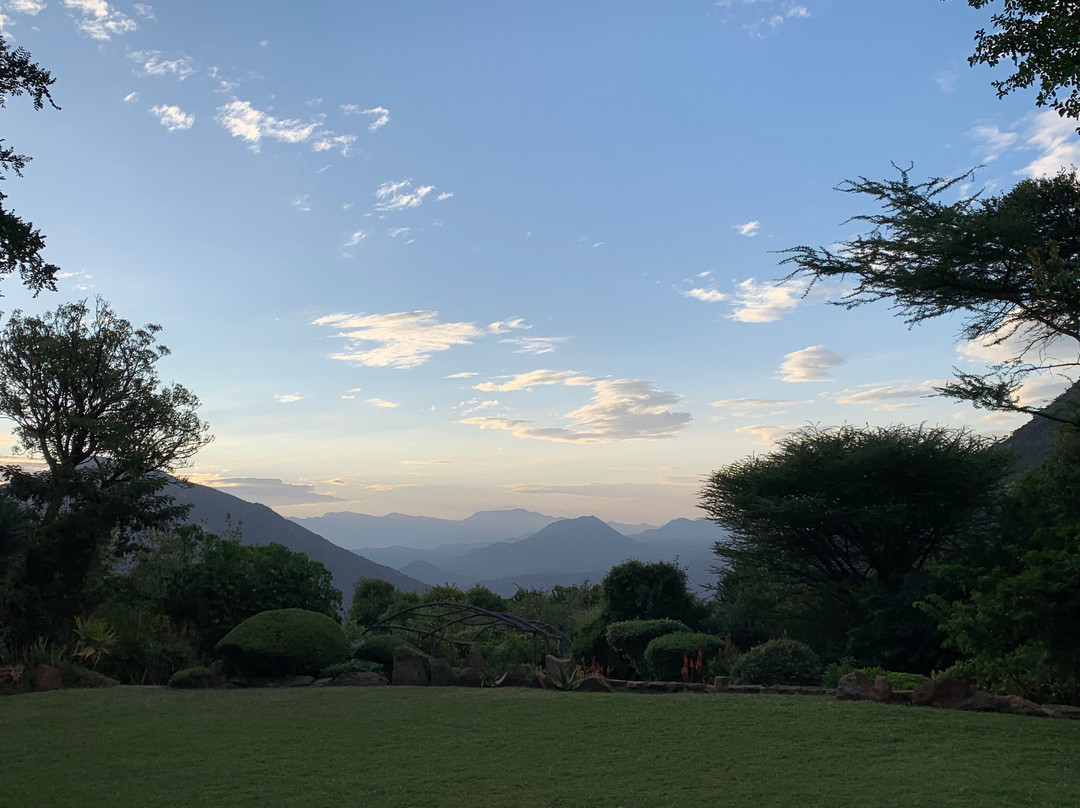 Desert Rose Kenya主图