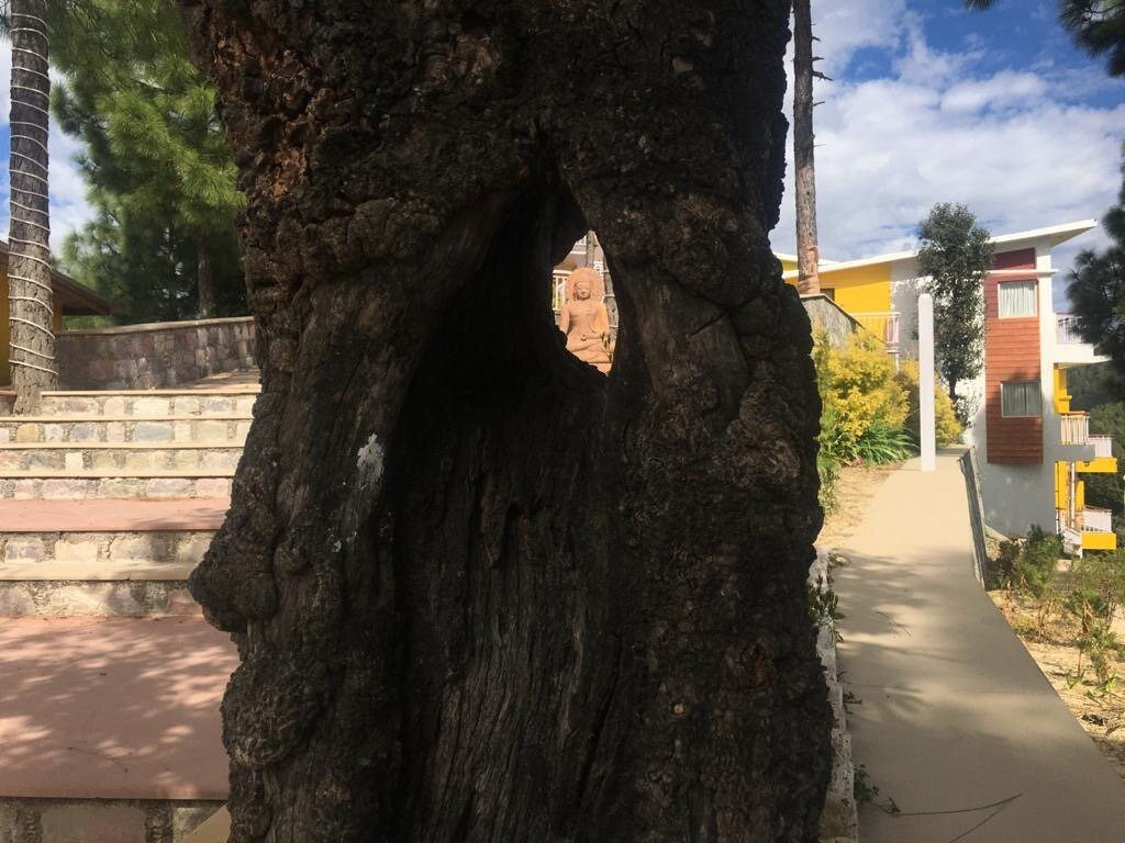 juSTa Mukteshwar Retreat & Spa主图