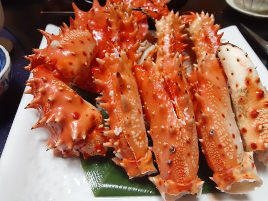 Shogetsu Ryokan-官方