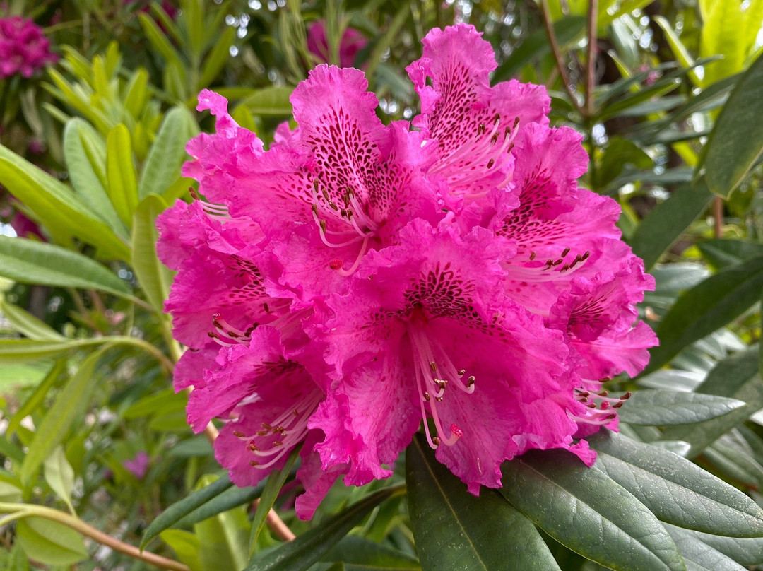 Cook Park-奥兰治必去景点